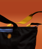 | Colour: Hear My Eyes!